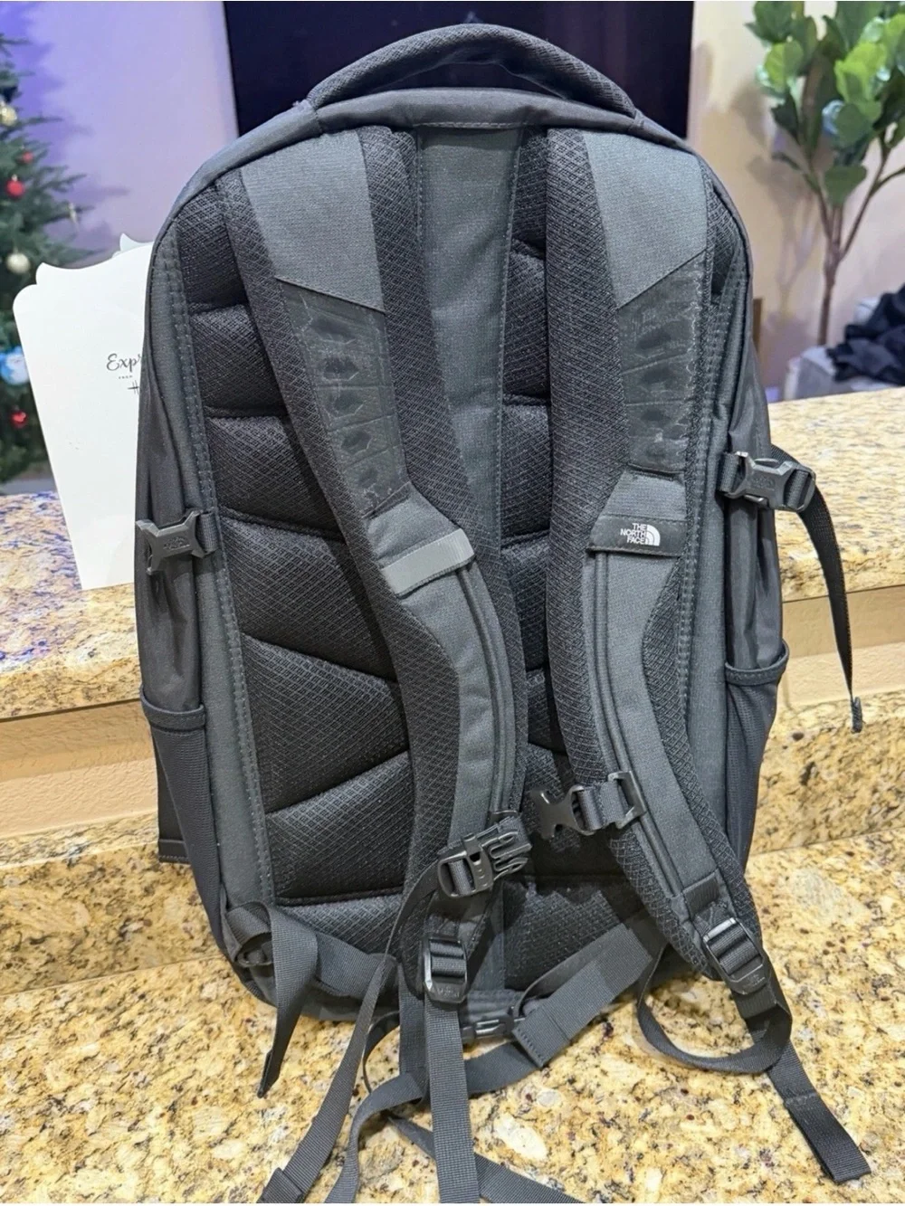 The North Face Fall Line Backpack Black Laptop Travel Bag NF0A3KX7 NEW